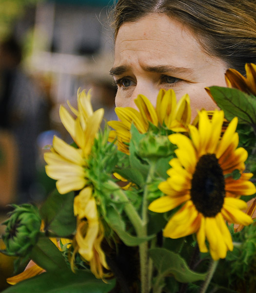 v-sunflowers